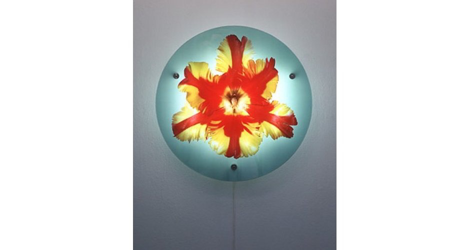 Helen Chadwick: Works from the Estate